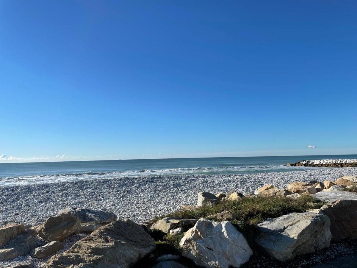 Appartamento Azzurra house Marina Di Pisa Esterno foto